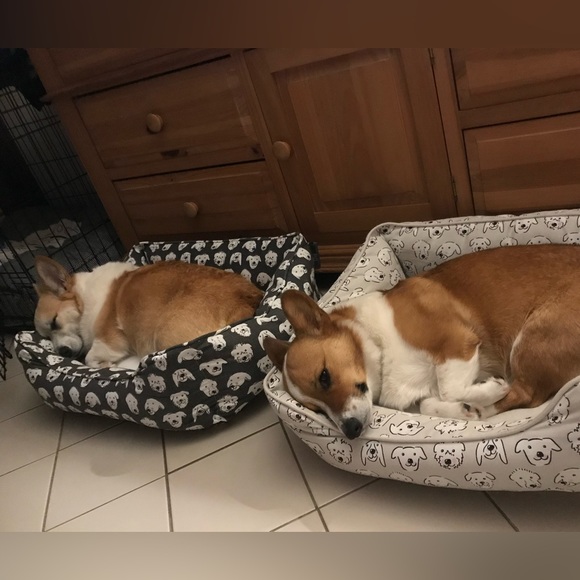 SHOP_ANARAE IS LIVE! - Picture 3 of 8